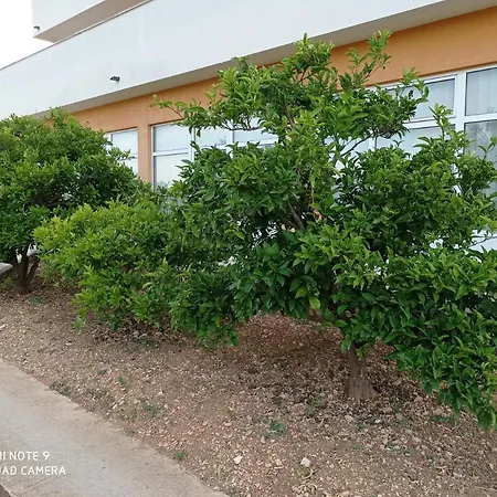 Pensjonat Barisic Trogir